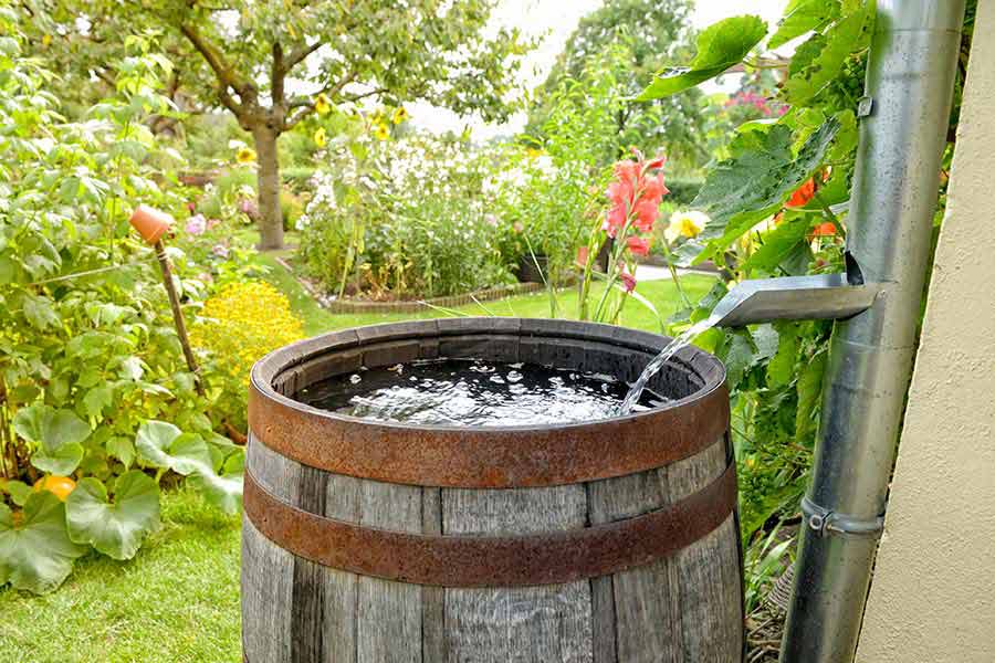 Collecting rain water in a barrel